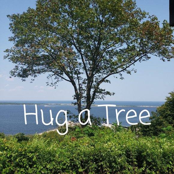 Meet your Posher, Stan - Picture 4 of 12